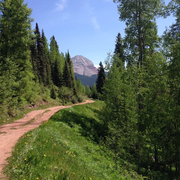 Excellent views of Engineer Mountain from Cascade Divide Road