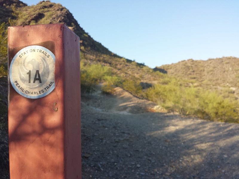 Phoenix has placed new purple signs for Trail 1A.  In doing so, they have completely rerouted the trail in places & bypassed climbs & descents that make 1A both challenging and fun.  Seeing a Trail 1A sign of this style means you are on a part of the original Trail 1A that has since been bypassed.