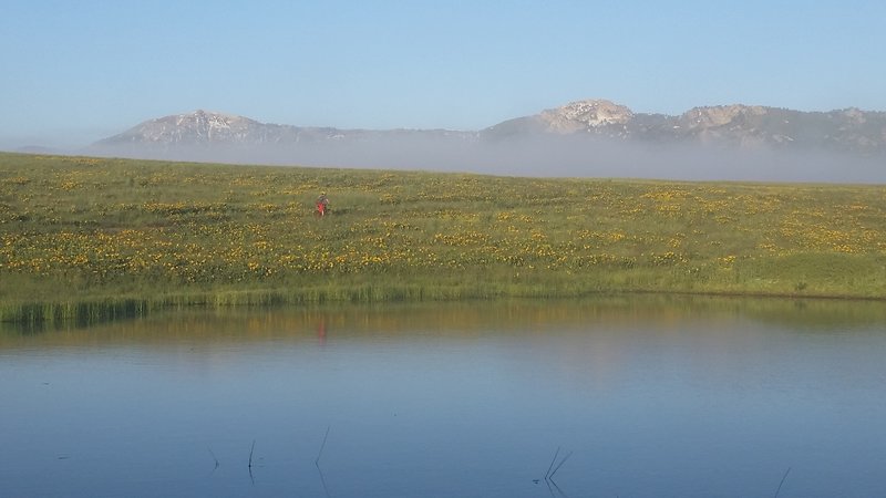 Willard Peak and Ben Lomond Peak in the background