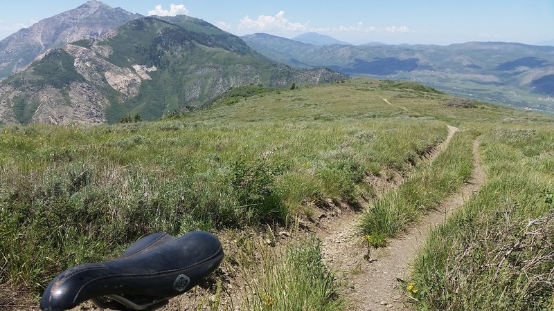 Southern Skyline Trail looking to the north