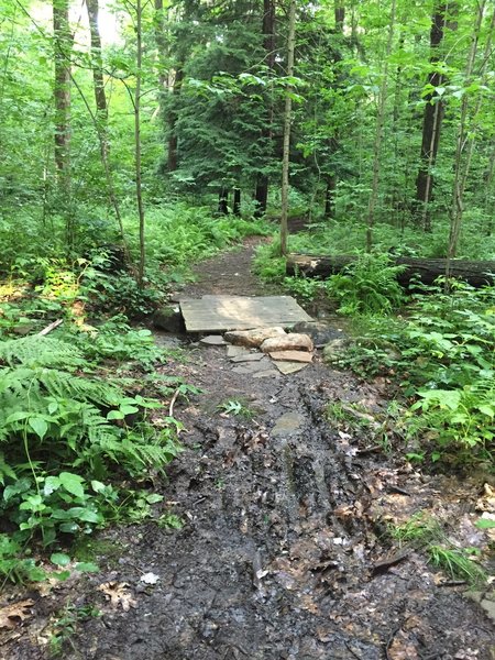 Small bridge on the Sleepy Hollow Trail