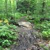 Small bridge on the Sleepy Hollow Trail