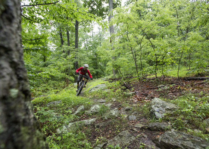 Cruising downhill on the intermediate trail at Emmitsburg.