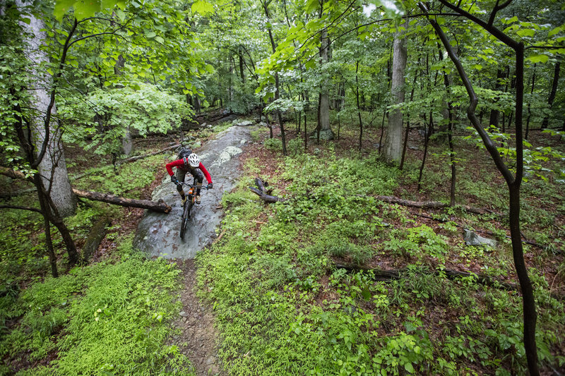 Fun rocks slabs on the Emmitsburg advanced trail.