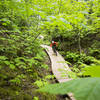 The big boardwalk on Stairway to Heaven.