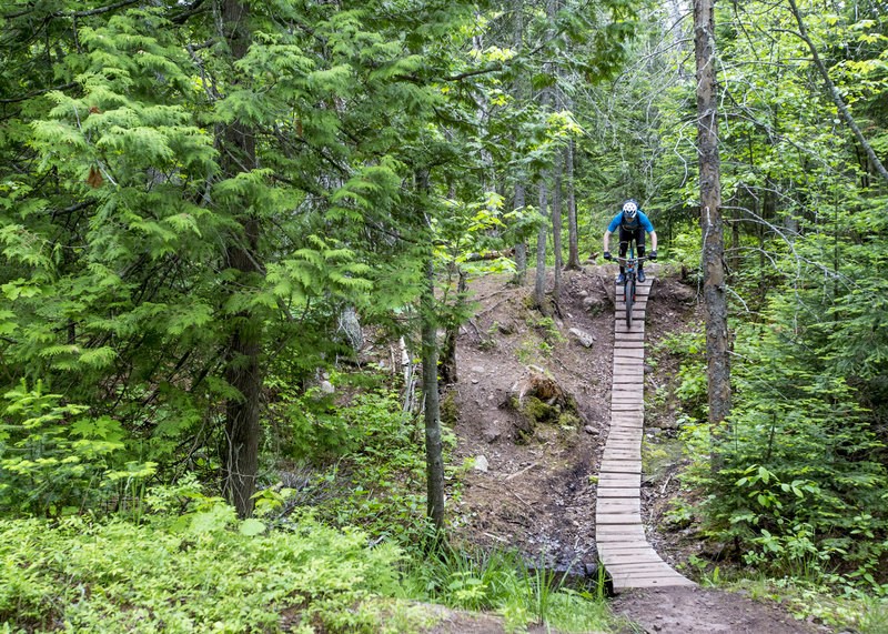 The bridges are just about as wide as your handlebar on the Mango trail.