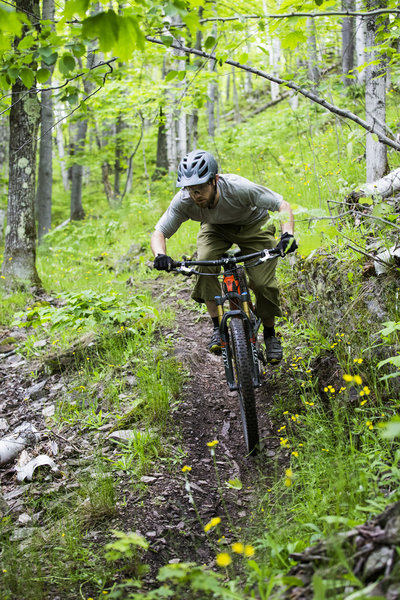 A rowdy section of Flow - South Marquette Trails.