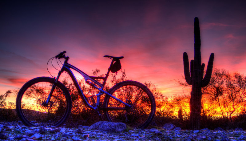 Obligatory desert sunset shot