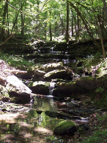 One of the Cascades along the trail to Hickory Nut