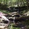 One of the Cascades along the trail to Hickory Nut