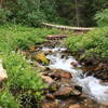 The Uinta National Forest is beautiful!