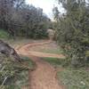 Pristine singletrack through oaks and junipers on Jane's Loop