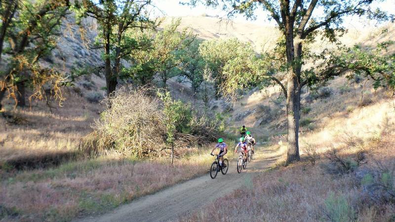 Up towards rattlesnake climb