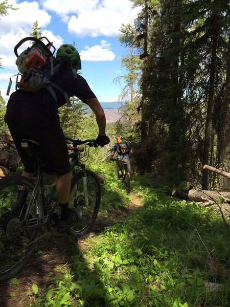 Lumber Biking!  The annual Mill Creek clearing day.