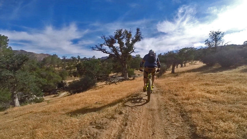 Rolling the Kern River trail on a perfect day.