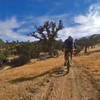 Rolling the Kern River trail on a perfect day.