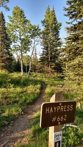 The breakoff of the Haypress trail from the ATV Ridge trail