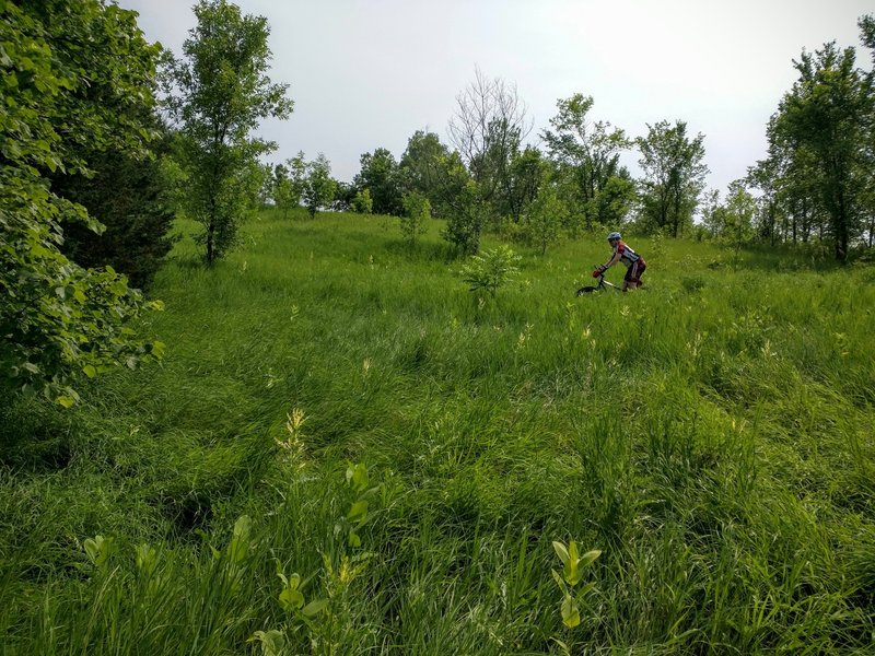 Nice little switchback area on the prairie where you can carve turns and pick up some speed. Great run for beginners.