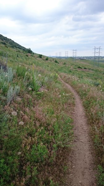 The trail runs between the powerlines and the Hogback Ridge.