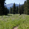 Riding through one of the few open field sections on this trail.