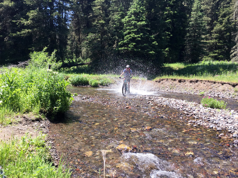 One of the numerous creek crossings (there are also log bridges).