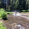 One of the numerous creek crossings (there are also log bridges).