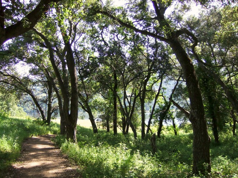 A scene from Coyote Lake.