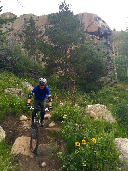 Bottom of the Middle Fork switchbacks.