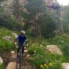 Bottom of the Middle Fork switchbacks.