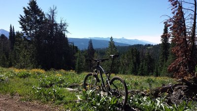 Beautiful opening on the two track