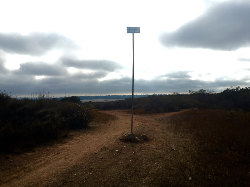 The trail that goes off right is a short downhill that ends up back on the fire road to the north.