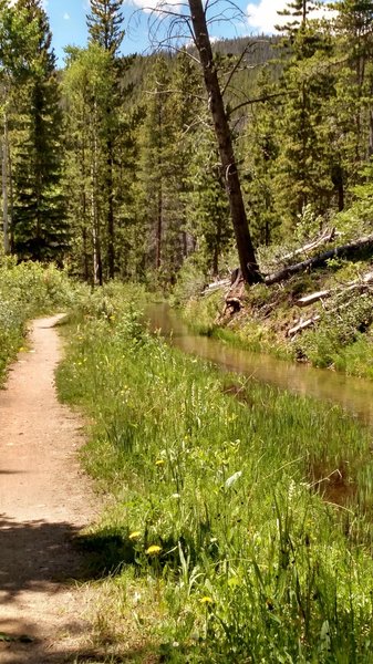 Riding along a stream.