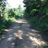 More doubletrack through the foliage