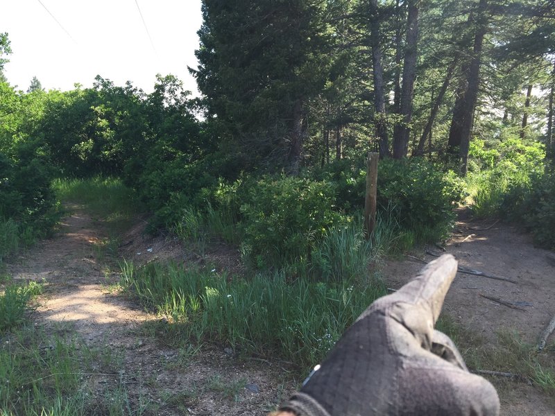 Take the right trail just past the electrical tower.