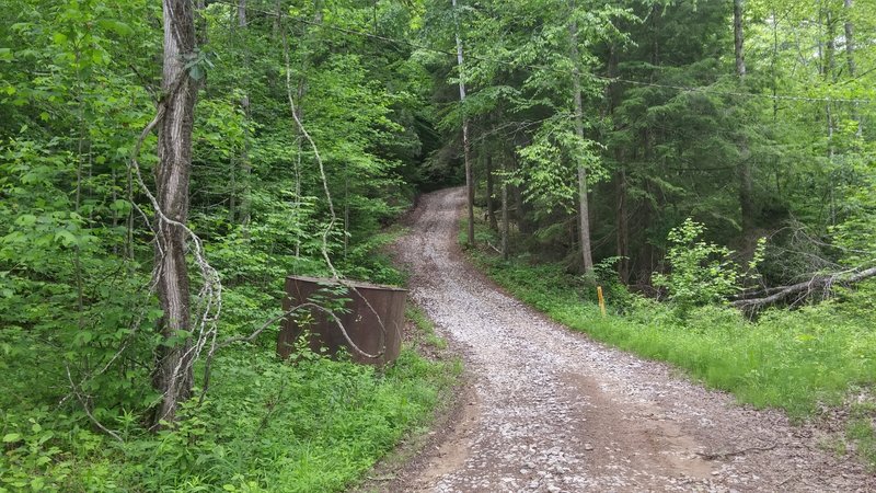 The Flat Holler Trail begins on the left just past the tank, or continue up the hill to the upper end of the trail for a loop ride.