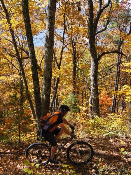 Riding Lakeview in autumn