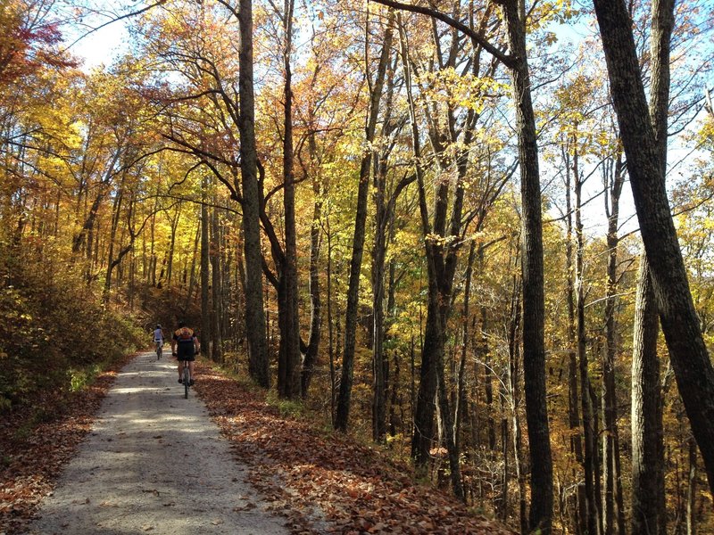 Autumn along Clack Mountain West