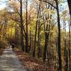 Autumn along Clack Mountain West