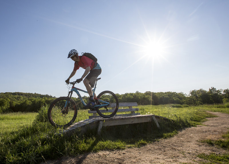 The bench at the Pioneer Overlook is also a technical trail feature!