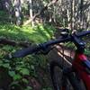 Very fast downhill section under the forest canopy.  Lots of fun.