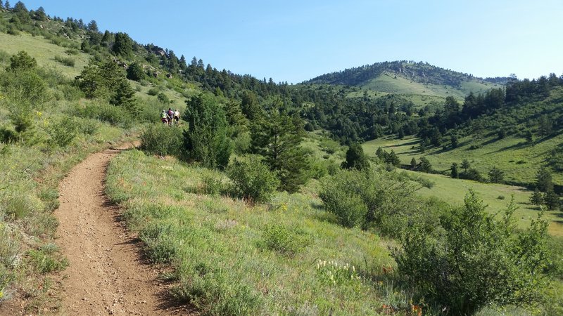 Looking up the trail on the final part of the Juniper Trail climb.