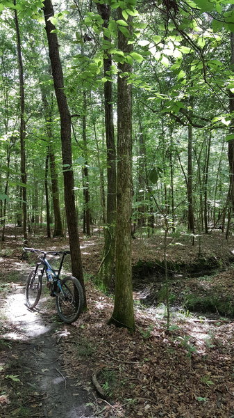 Fast section along the Blue Loop