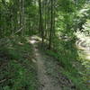 Water below along the "Ridge" of the Blue Loop.