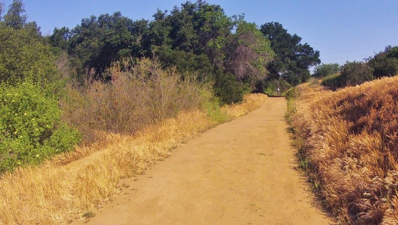 A mild climb up Powder Canyon Rd