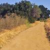 A mild climb up Powder Canyon Rd