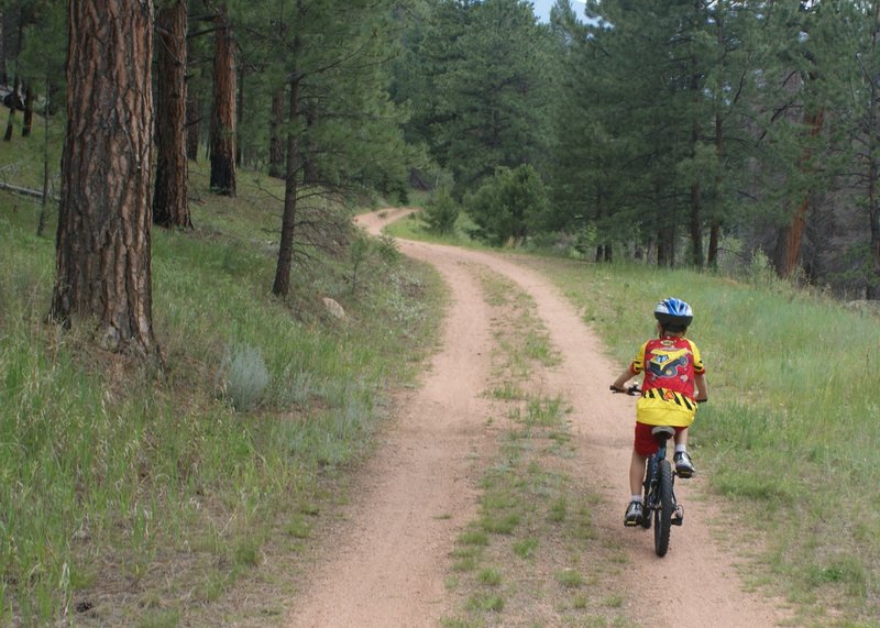 Little ones exploring Buffalo Creek