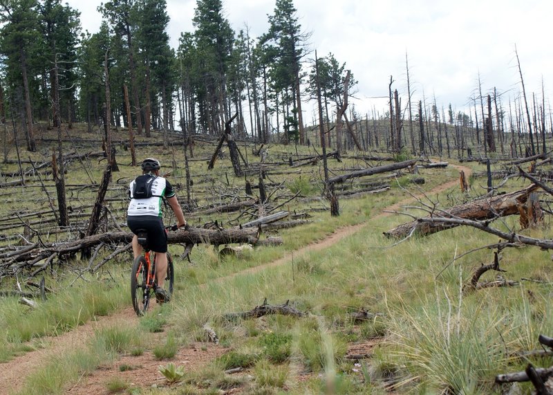 Climbing Buck Gulch from Pine Valley OS