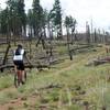 Climbing Buck Gulch from Pine Valley OS