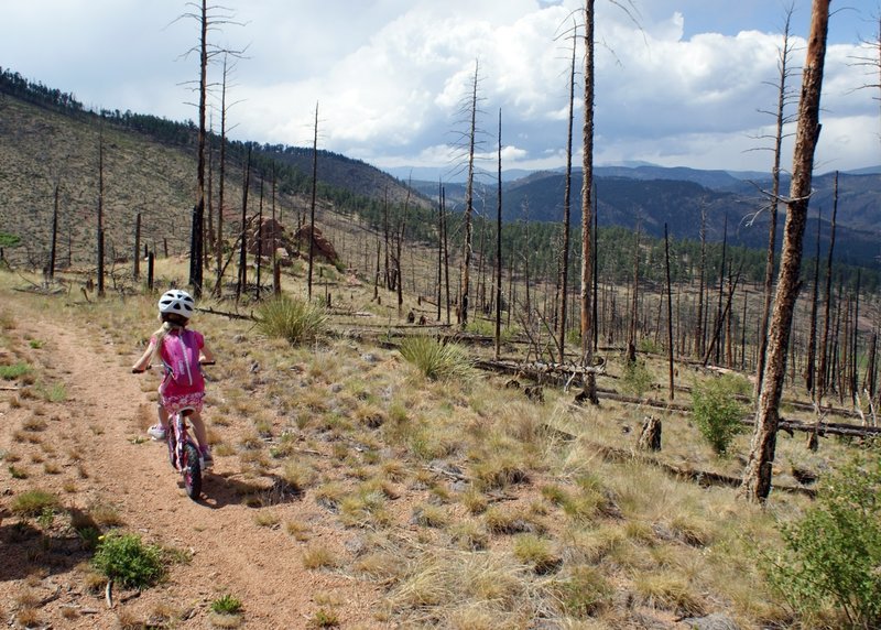 Looking toward Crossons from near trail intersection