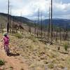 Looking toward Crossons from near trail intersection